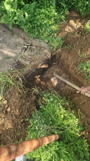 Trabalho de canalização e desentupimento realizado pela Só Esgotos, foto 104